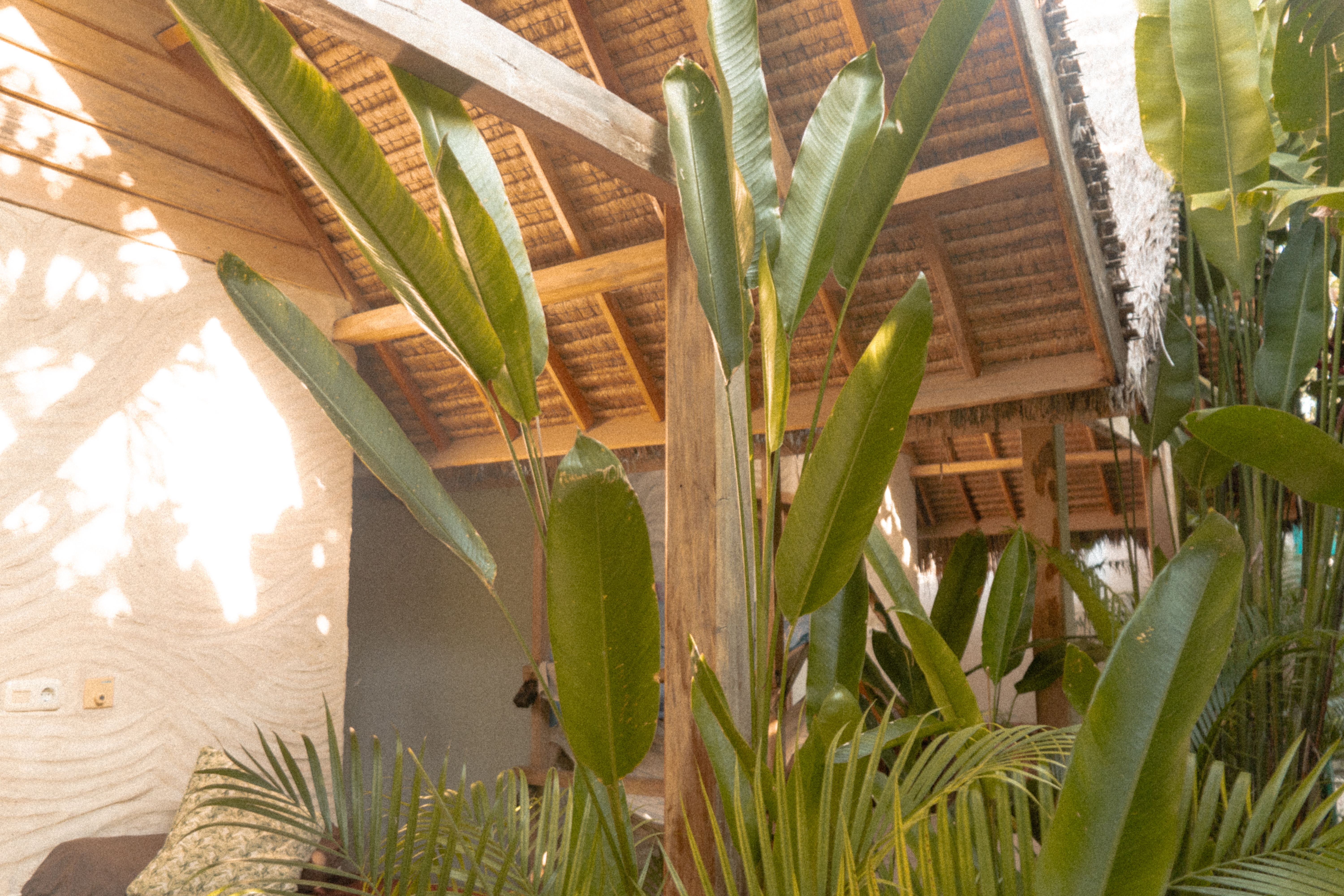 Hostel retreat photography — travel lifestyle interior atmosphere