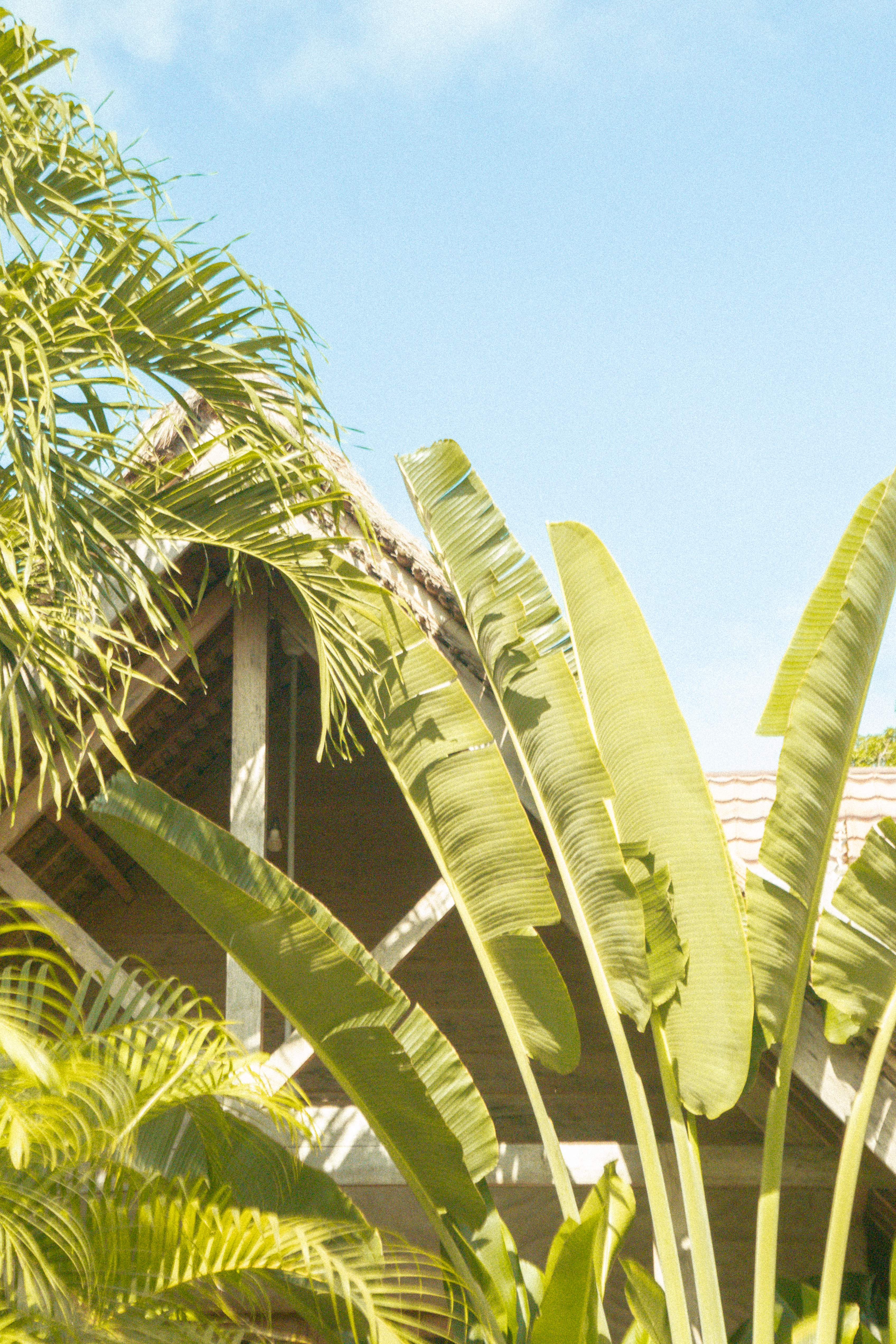 Hostel lifestyle photography — candid travel retreat moment