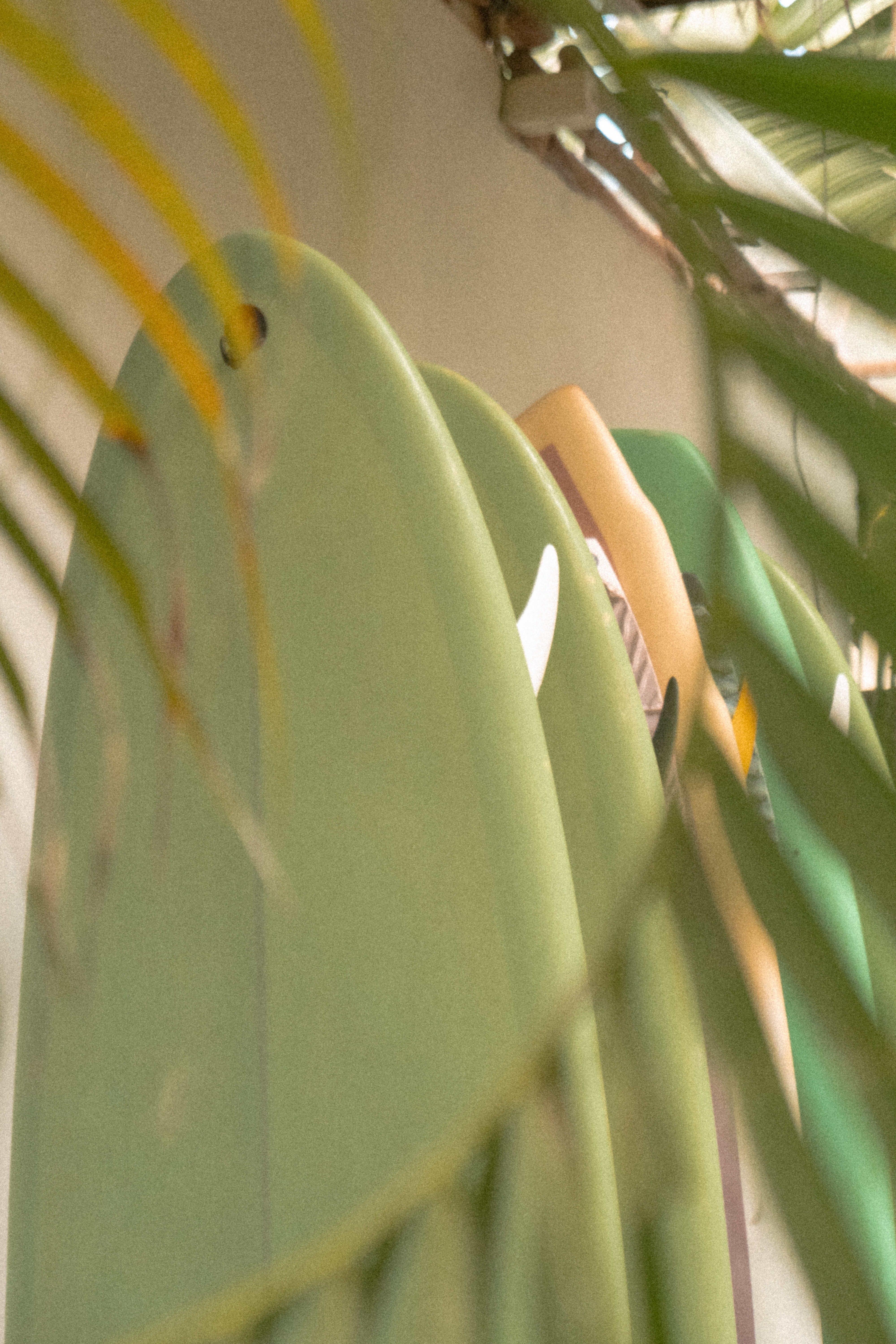 Hostel and retreat lifestyle photography — authentic travel atmosphere