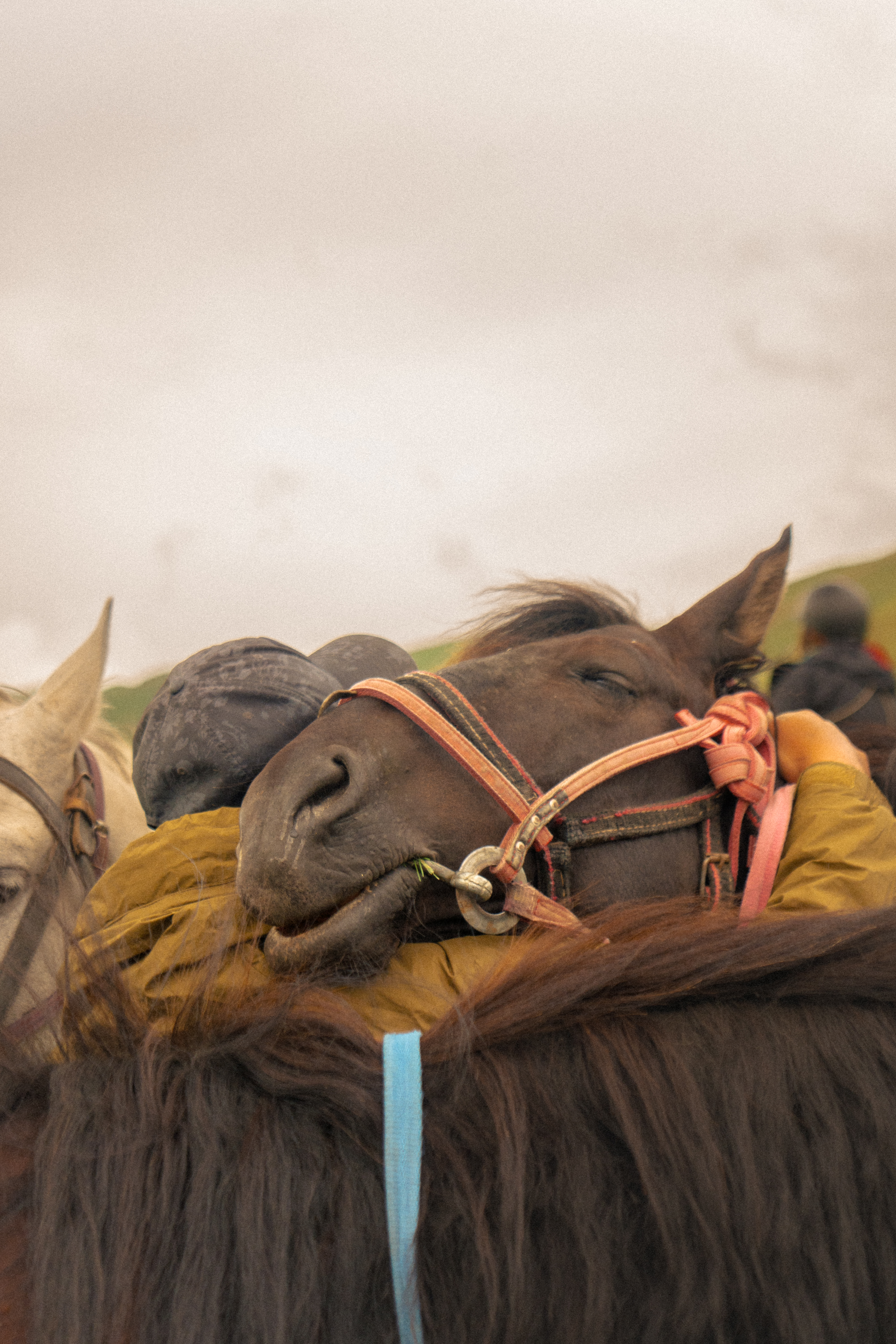 Travel documentary photography — street moment abroad